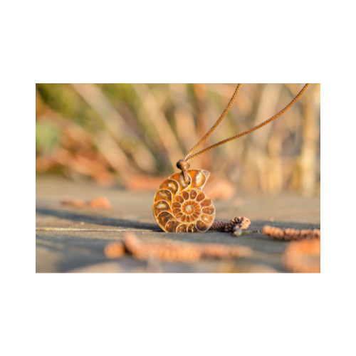 Shell Jewelry Collection